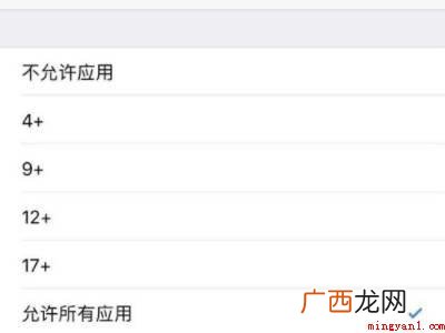 苹果手机青少年模式怎么开启的具体操作步骤 苹果手机青少年模式怎么开启