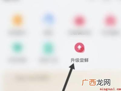 荣耀30pro怎么申请鸿蒙系统