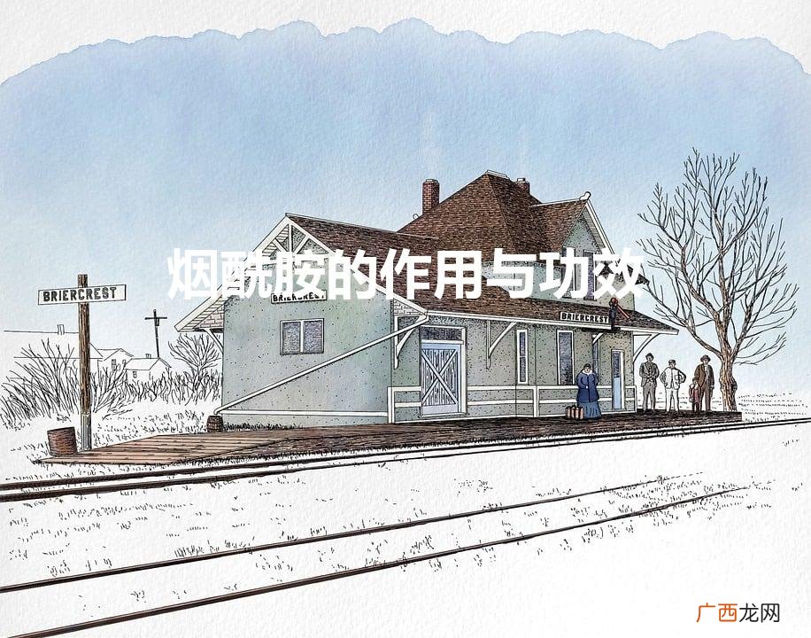 关于烟酰胺的作用介绍 烟酰胺的作用与功效