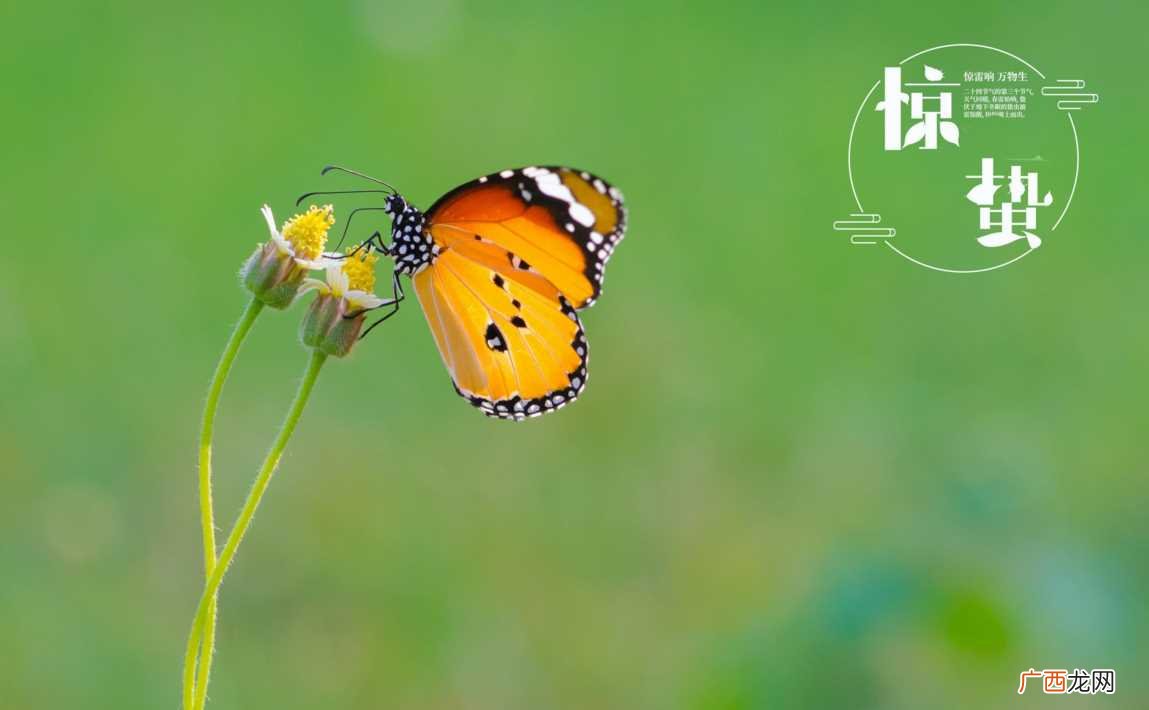 2023年24节气时间表农历 二十四节气详细时间表