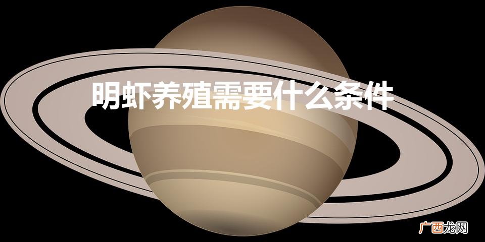 养虾需要什么条件和技术 明虾养殖需要什么条件