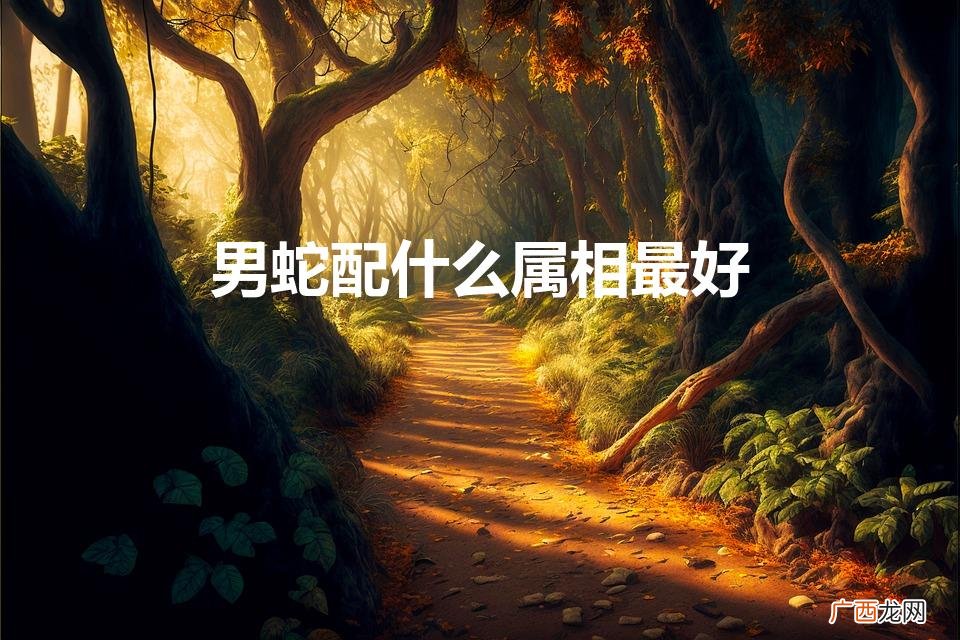 男蛇配什么属相最好婚姻 男蛇配什么属相最好