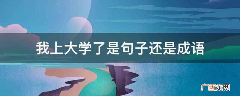 我上大学了是句子还是成语