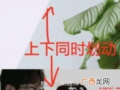 荣耀50隐藏应用怎么打开