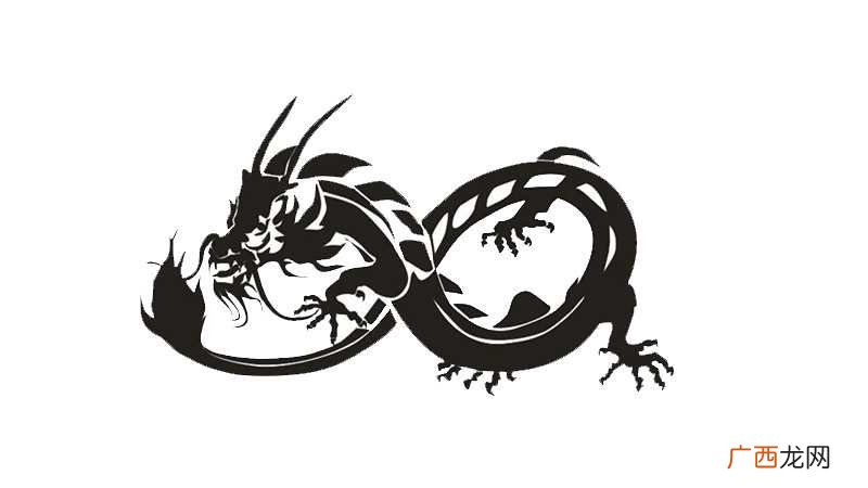 辰龙是什么意思