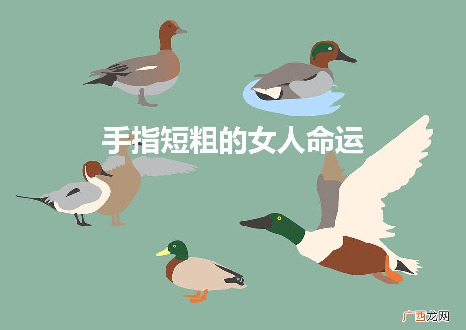 手指细长和手指短粗的女人命运 手指短粗的女人命运