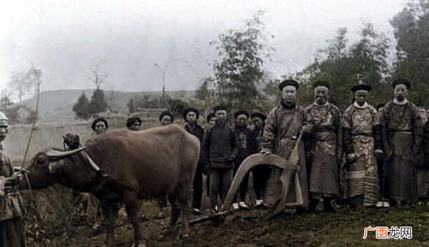 土豆是什么时候传入中国的 红薯是什么时候传入中国