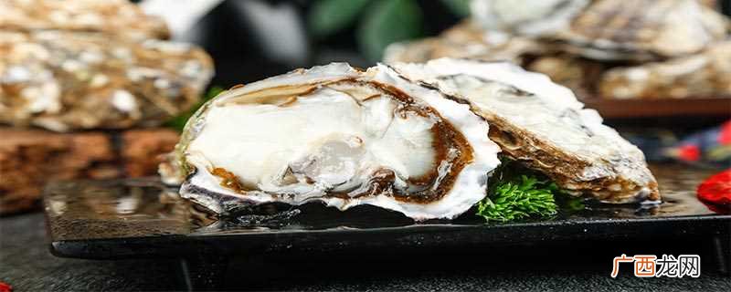 海蛎子煮多久