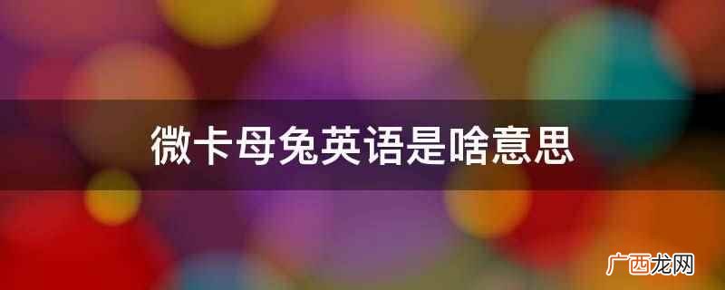 微卡母兔英语是啥意思