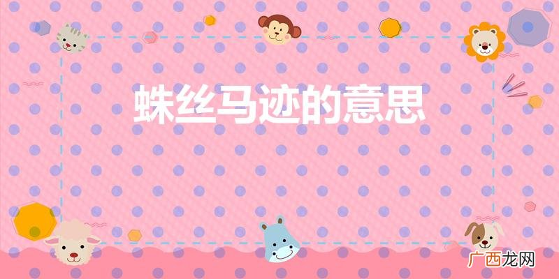 蛛丝马迹是什么意思 蛛丝马迹的意思
