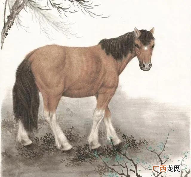 属马人喜欢什么样的人 生肖马心里最爱的是谁