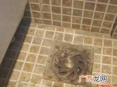 家里发现螋怎么办的具体操作步骤 家里发现蠼螋怎么办