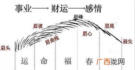女人6种眉型旺夫旺财 女人招财旺夫眉型有哪些