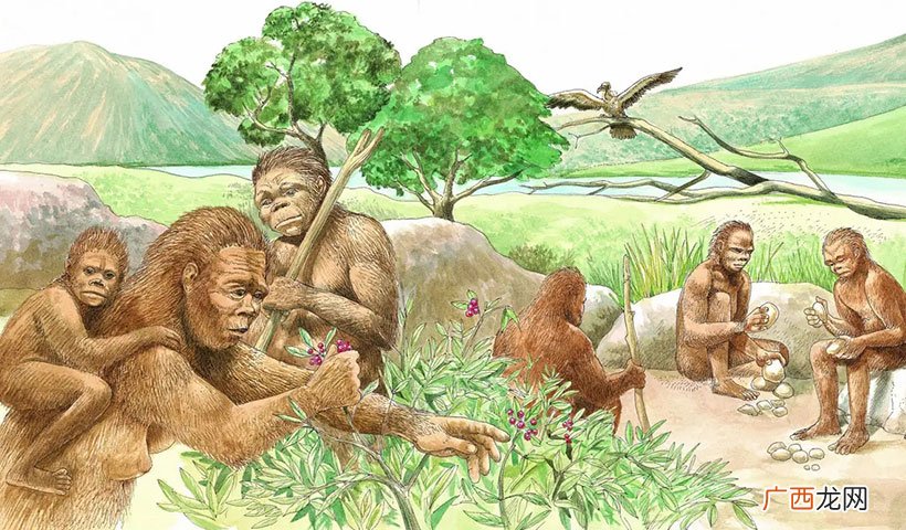 第一个人类是怎么诞生的 地球上第一个人是谁