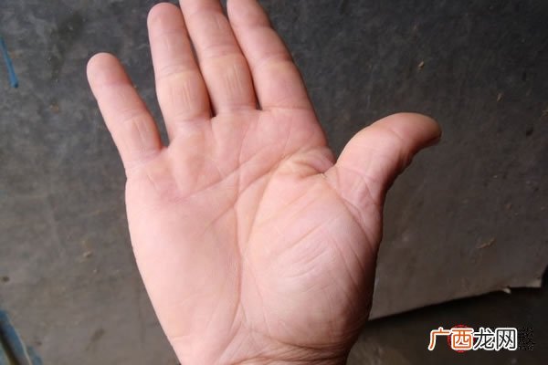 掌纹生命线有分叉好不好 生命线中途开了个大叉