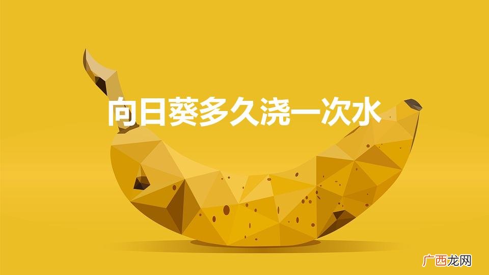 向日葵多久浇一次水（向日葵多久浇一次水,一次浇多少)