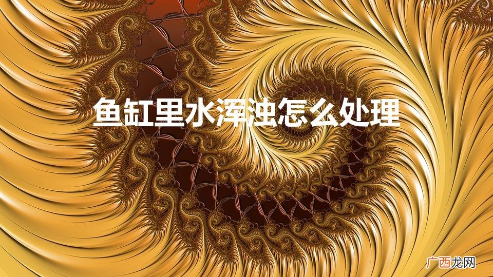 鱼缸里水浑浊怎么处理干净 鱼缸里水浑浊怎么处理