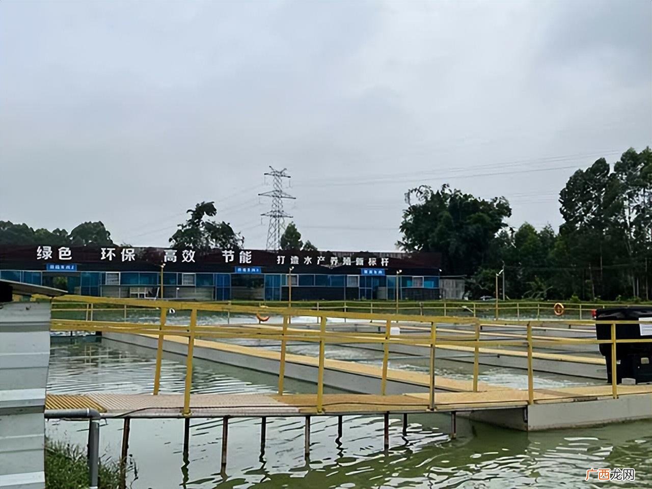 重要性是什么 水产养殖对生态环境的影响