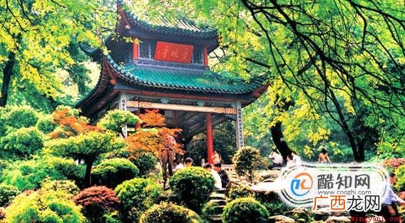 长沙臭豆腐工具/材料手机、足够的钱操作方法 长沙旅游景点最全攻略