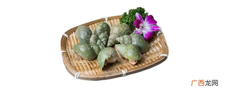 田螺可以在家养活吗