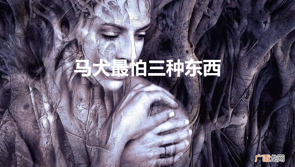 马犬狗最怕什么武器 马犬最怕三种东西