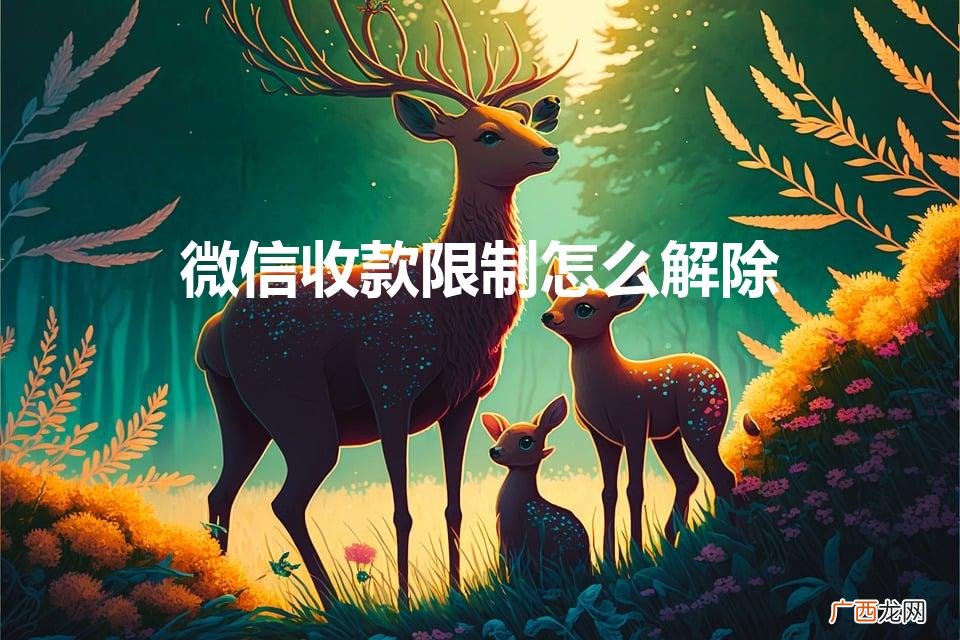 微信收款限制怎么解除（微信二维码收款码怎么申请贴纸)
