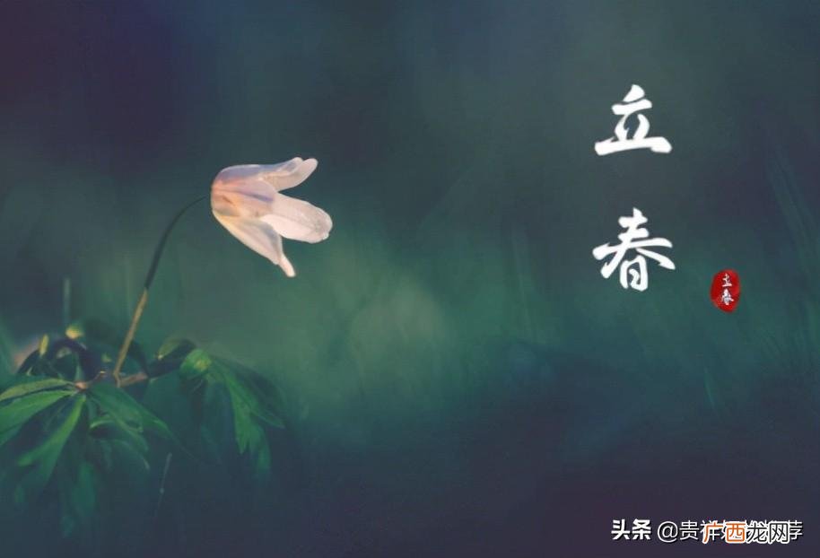 有几个立春日 2023年什么时候立春
