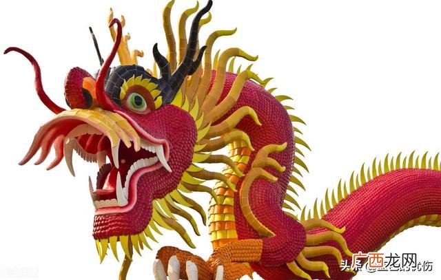 非常有主见，有思想的生肖 有主见不肯低头的生肖是什么