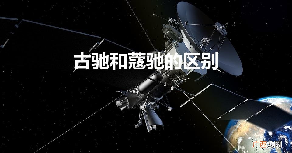 蔻驰和古驰有什么区别 古驰和蔻驰的区别