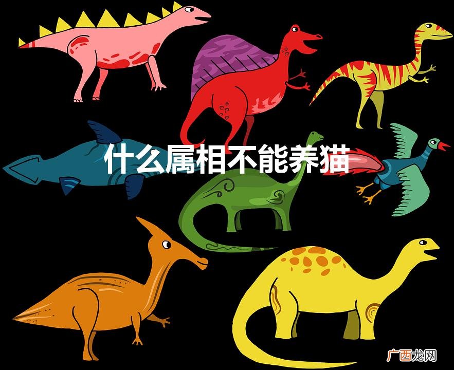 这几个生肖的人千万不能养猫 什么属相不能养猫