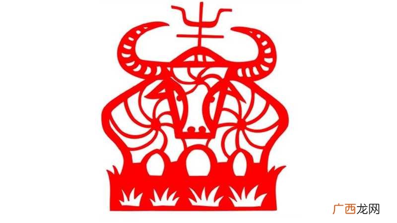 不能把握好“度”只会给这个组合带来灾难 牛和兔属相合不合