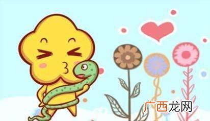 相对比较平和的一对 属蛇女和属龙男的婚姻怎么样