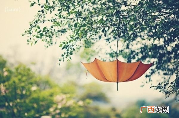 附2021运程 81年什么命,是木命还是金命