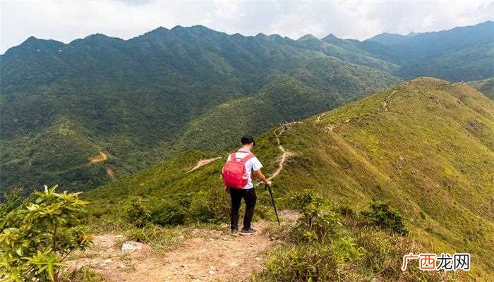 重阳节的习俗有哪些 重阳节是什么节日呢