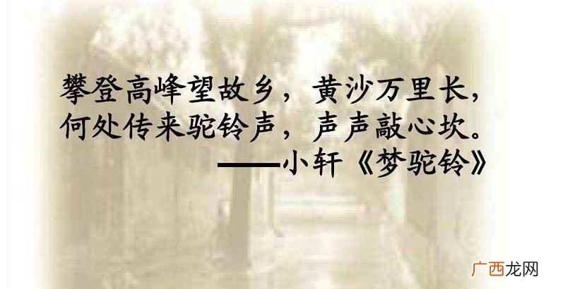 梦驼铃歌词攀登高峰望故乡黄沙万里长何处 攀登高峰望故乡黄沙万里长什么歌