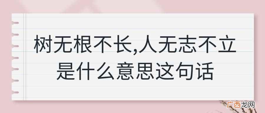 树无根不长人无志不立意思是什么