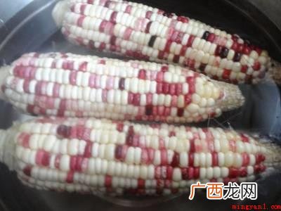 花玉米煮多久会熟的具体操作步骤 花玉米煮多久会熟