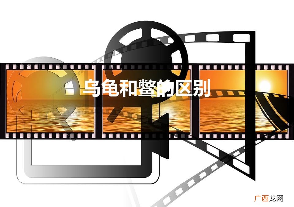 乌龟和鳖有什么区别 乌龟和鳖的区别