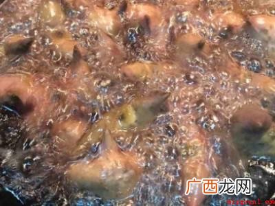 生菱角怎么煮熟的具体操作步骤 生菱角怎么煮熟