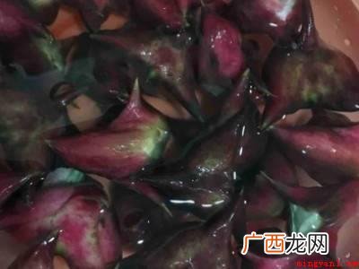 生菱角怎么煮熟的具体操作步骤 生菱角怎么煮熟