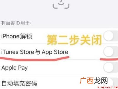 苹果怎么在浏览器安装app的具体操作步骤 苹果怎么在浏览器安装app