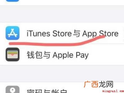 苹果怎么在浏览器安装app的具体操作步骤 苹果怎么在浏览器安装app