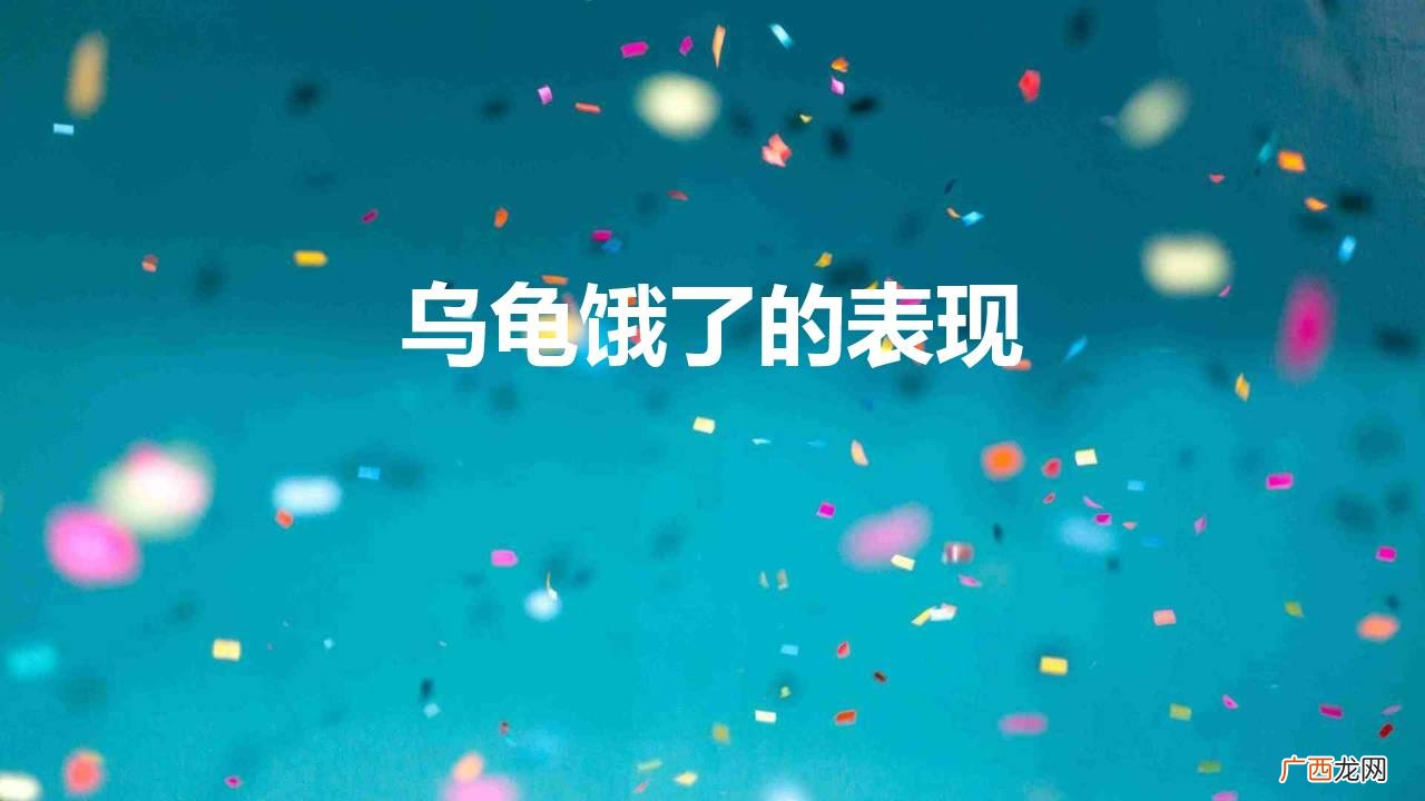 乌龟饿了的表现是什么样子的 乌龟饿了的表现