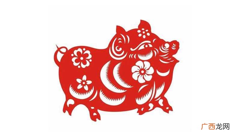 属猪2022年运势:生肖属猪的人进入