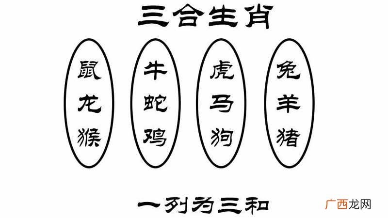 属相三合指的是什么