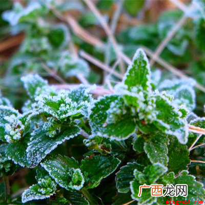 恶语伤人六月寒 良言一句三冬暖的下一句是什么？