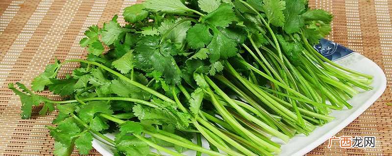 秋后种越冬菠菜、大蒜、上海青、芹菜等可以过冬 秋后种什么菜能过冬