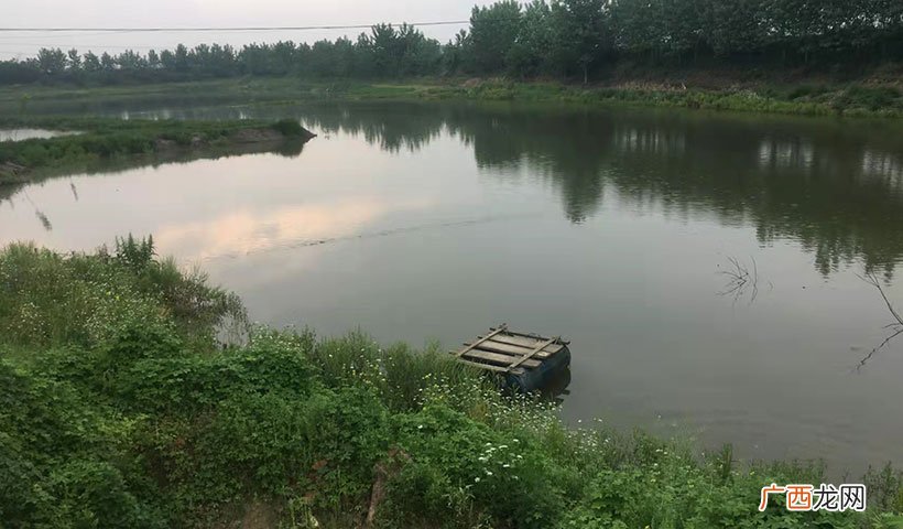 现在养3种鱼利润大是暴利 养什么鱼赚钱利润高