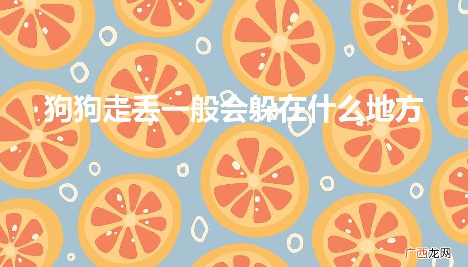 狗走丢了一般躲在哪里 狗狗走丢一般会躲在什么地方