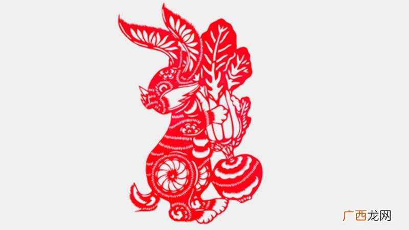 兔子和猪属相合不合
